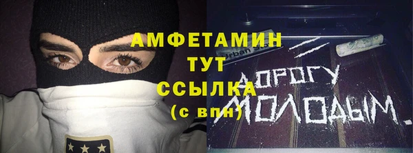 сатива Дмитриев