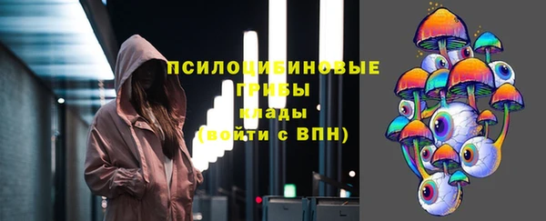 бошки Арсеньев