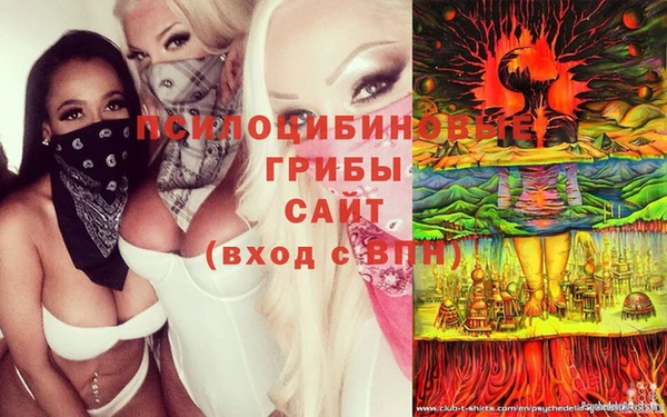 спайс Балахна