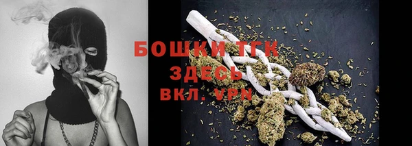 сатива Дмитриев